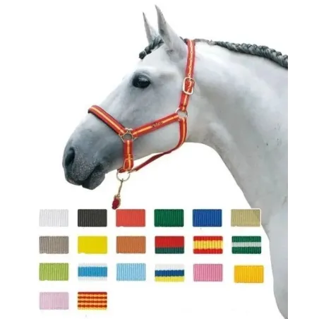 Cabezada cuadra Zaldi ZALDI